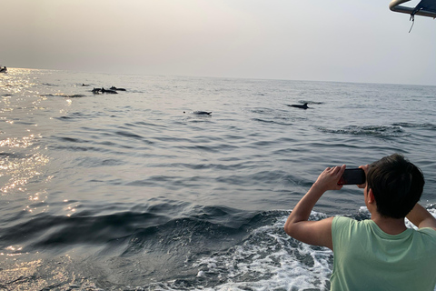 Puerto Escondido: Bootstour zu Delfinen und MeerestierenPrivate Tour