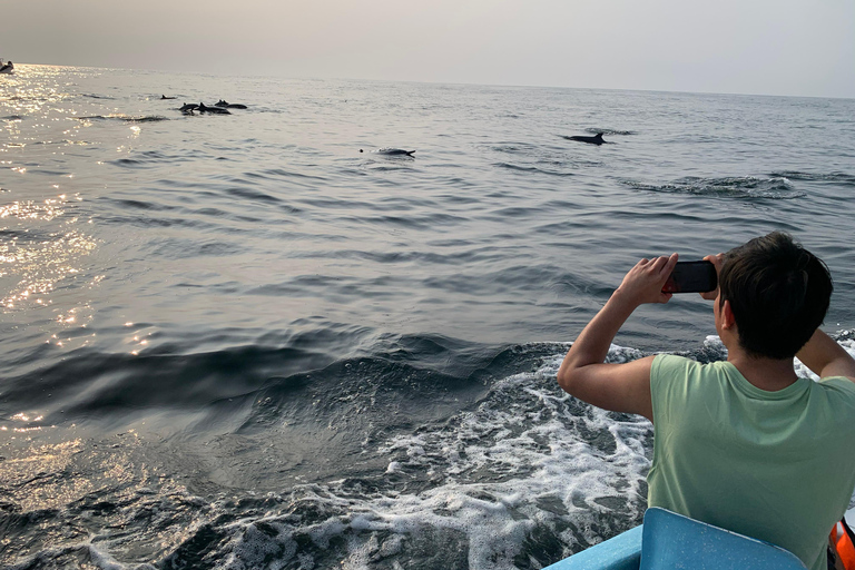 Puerto Escondido: Bootstour zu Delfinen und MeerestierenPrivate Tour