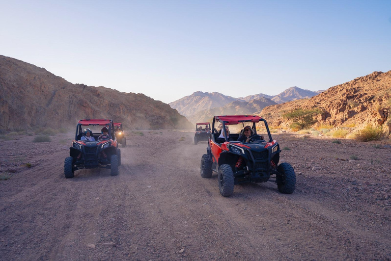 Aqaba: Excursión de Aventura Can-Am Maverick Para los amantes de las emociones fuertes