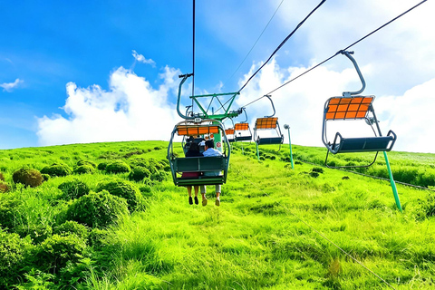 Small Group Day Tour:Omuro Mountain & the Izu Scenic Railway Hotel Transfer Option