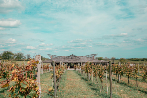 Buenos Aires: Almoço e degustação de vinhos na Bodega Gamboa