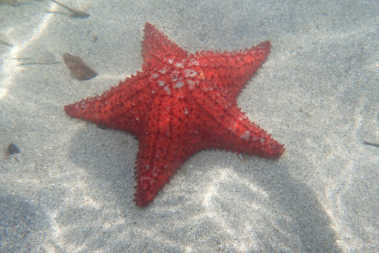 Escursione all inclusive negli isolotti del Grand Cul de Sac MarinEscursione all inclusive alle isolette del Grand Cul de Sac Marin