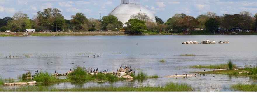 D'Anuradhapura : La ville ancienne d'Anuradhapura à vélo