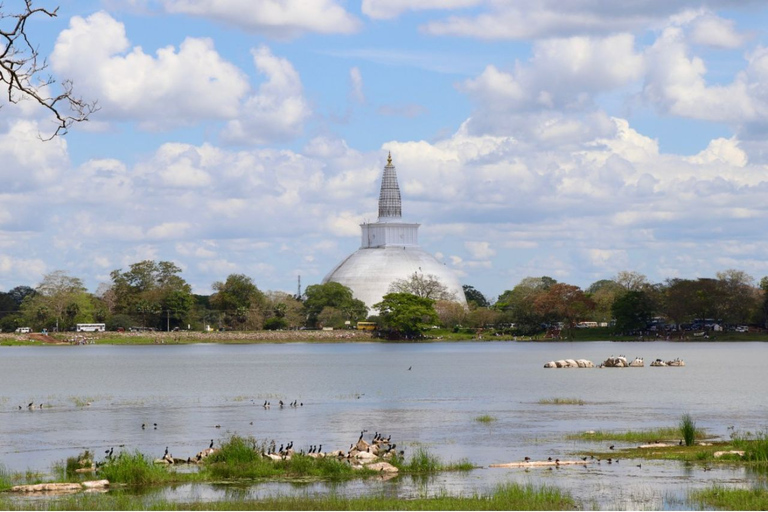 Från Anuradhapura: Den antika staden Anuradhapura med cykel