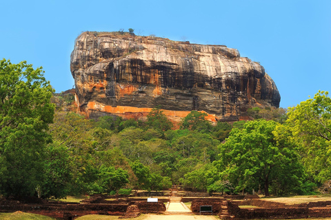 Day trip from Sigiriya to Dambulla