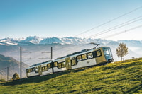 From Zürich, Guided Day Trip to Rigi and Lake Lucerne - Housity