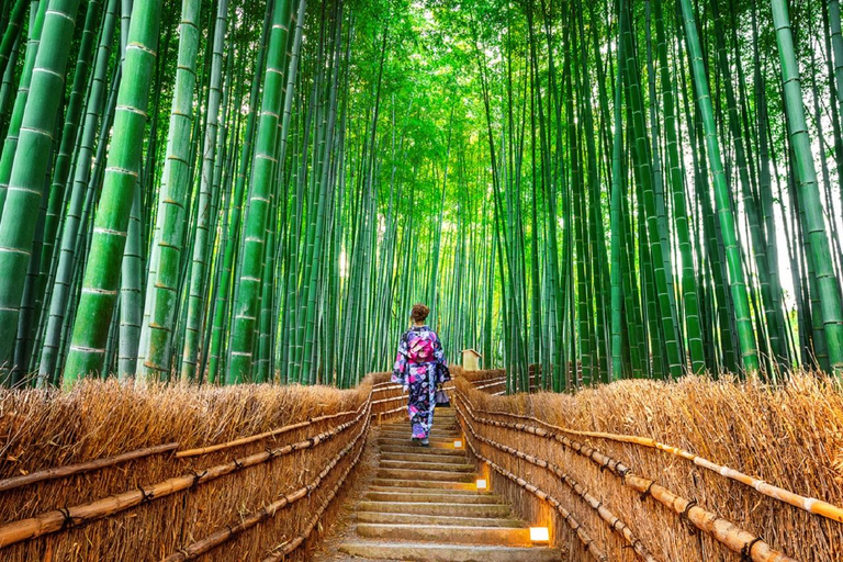 Osaka/Kyoto: Sanzenin, Arashiyama Train, Bamboo Forest Tour Kyoto Station Meeting Point 9:50 AM