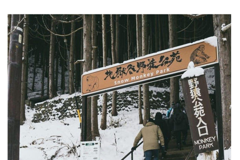 Depuis Tokyo et Nagano : Visite privée de luxe d&#039;une journée pour le singe des neiges