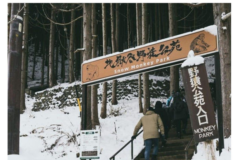 Depuis Tokyo et Nagano : Visite privée de luxe d&#039;une journée pour le singe des neiges