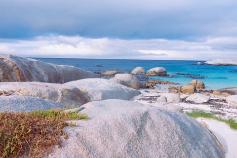Cape Town: Full-Day Tour of the Cape of Good Hope & Penguins