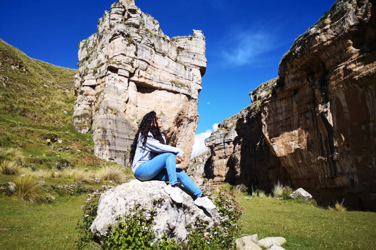 Huancayo: Shutjo Canyon, Puya de Raimondi, and Thermal Baths