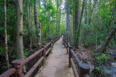 Exploration de l&#039;arrière-pays de Krabi vers Emerald Pool et Wareerak Hotspring