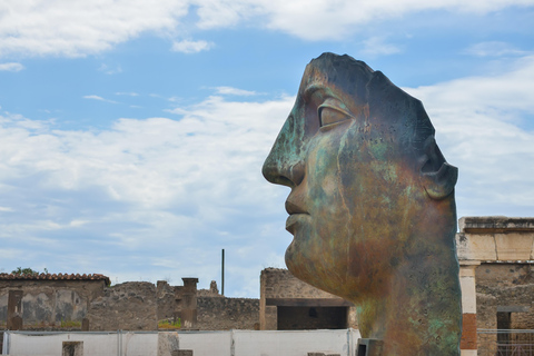 Pompei: Tour guidato &quot;salta la lineaTour guidato in inglese