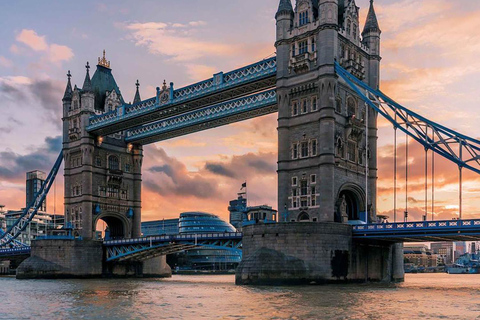 Londres : Chambres du Parlement, Trafalgar Square et parcs royauxExplorez Londres : visite d'une demi-journée des points forts de la ville