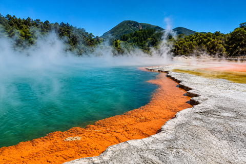 Tauranga: Wai-O-Tapu Thermal Wonderland Cruise Ship Tour