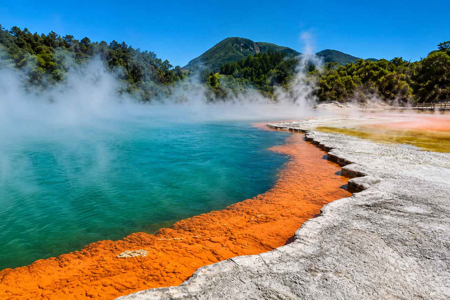 From Tauranga: Wai-O-Tapu Thermal Wonderland Tour - Tauranga: Wai-O-Tapu Thermal Wonderland Cruise Ship Tour