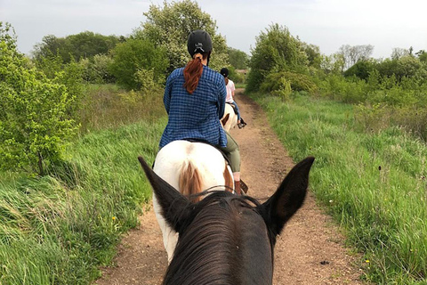 Excursión en autocaravana por el Parque Bronte Creek y a caballo