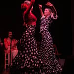 Valencia: spettacolo di flamenco autentico nel centro città