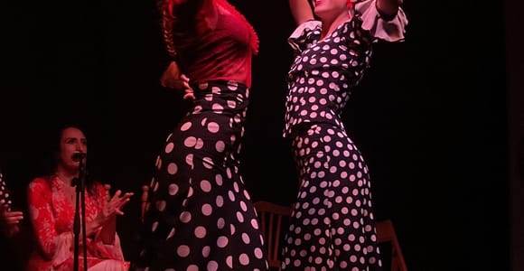 Valencia City Center: Authentic Flamenco Show