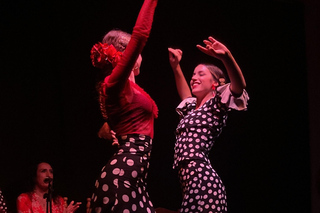 Valencia: Flamenco Show at Ca Revolta Theater
