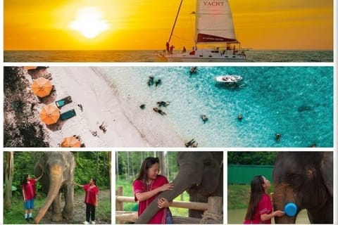 Phuket: Elephant Sanctuary, Coral Island, and Sunset Tour