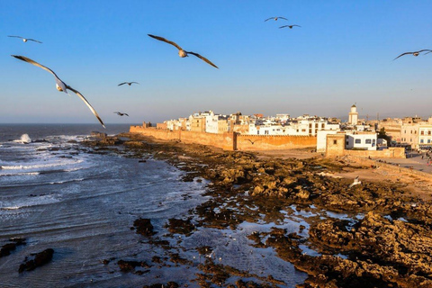 Essaouira Day Trip from Marrakech: Medina & Atlantic Coast Private Essaouira Day Trip