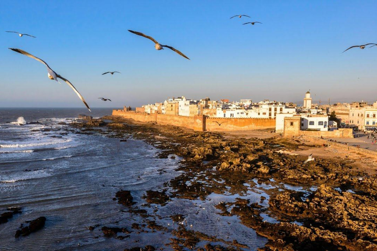 Essaouira Day Trip from Marrakech: Medina & Atlantic Coast Private Essaouira Day Trip