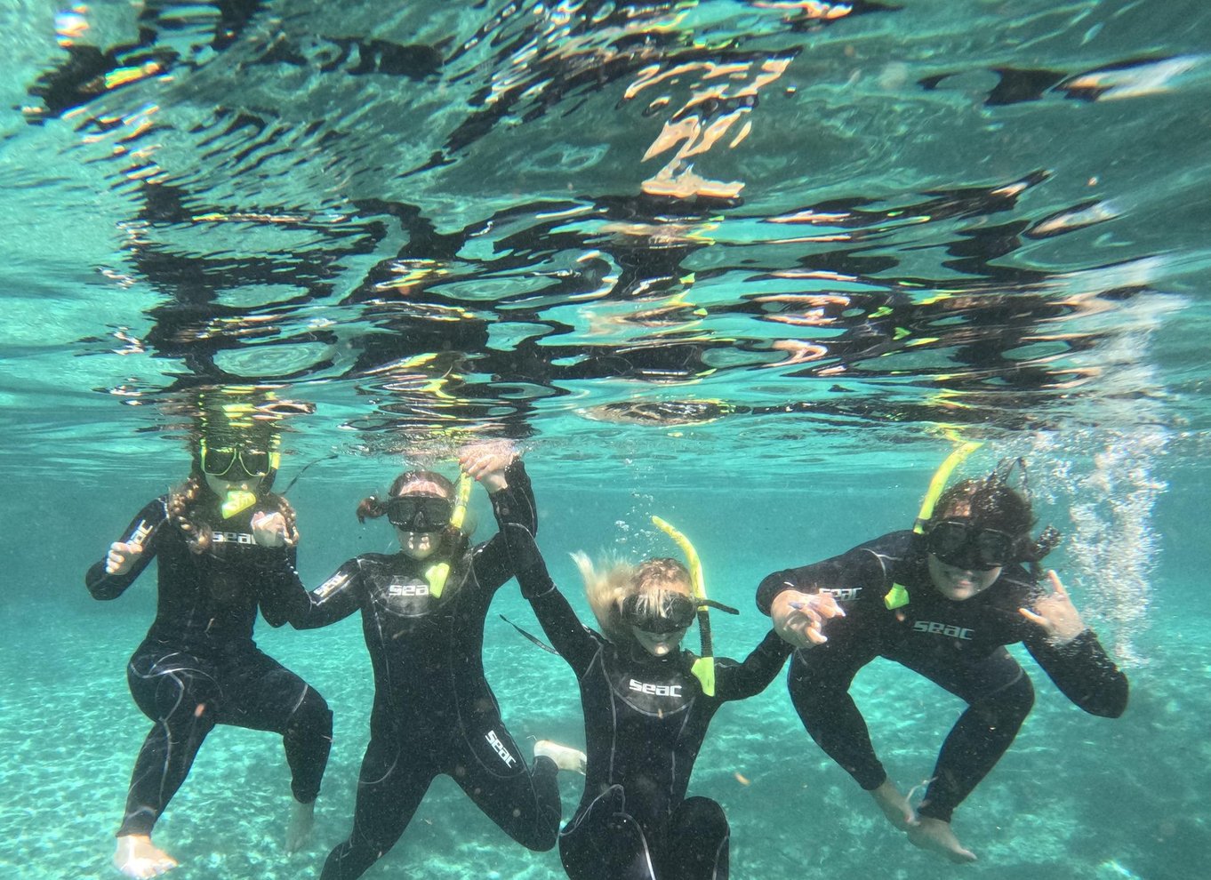 Crystal River: Snorkeltur med søkøer i vandet