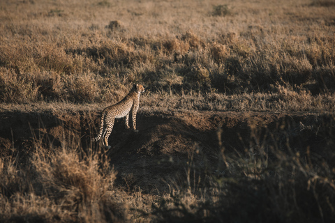 From Arusha: 6-Day Tanzania Magic Safari