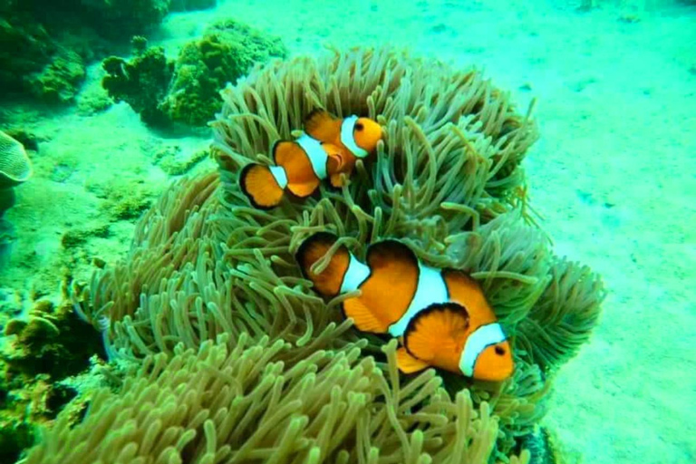 Ko Lanta: Amazing 4-Islands Snorkeling Day Trip w/ Lunch Private Tour