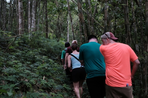 Mt. Merapi Majestät: Soft Trek und Botanic Village Tour