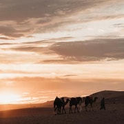 From Marrakesh: Agafay Desert Sunset, Camel Ride, And Dinner | GetYourGuide