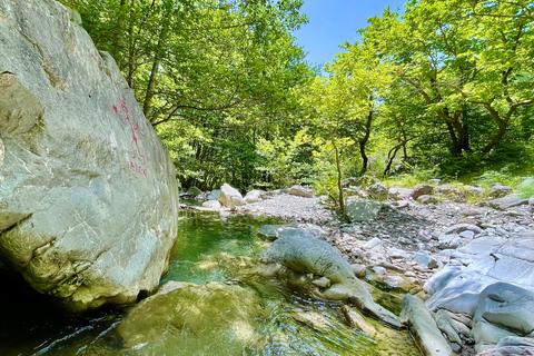 Dajti Mountain &amp; Shengjergj Waterfall 1-dniowa wycieczka Land Roverem