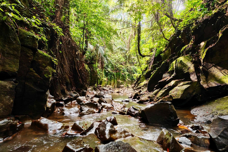 Ubud privato: Cascate, tempio dell&#039;acqua, terrazza di risoTour di un giorno (10-12 ore di tour), escluse le tariffe dei biglietti d&#039;ingresso