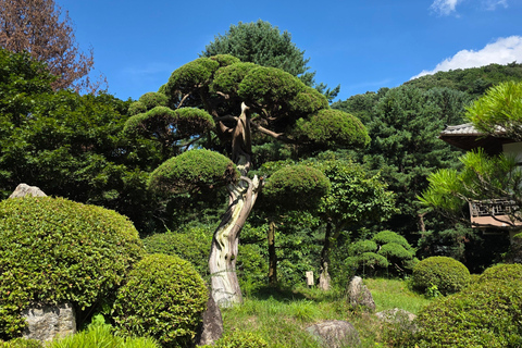 From Seoul: Garden of Morning Calm Day Tour by train