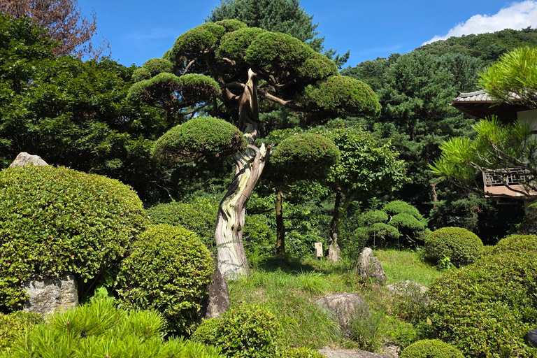 From Seoul: Garden of Morning Calm Day Tour by train