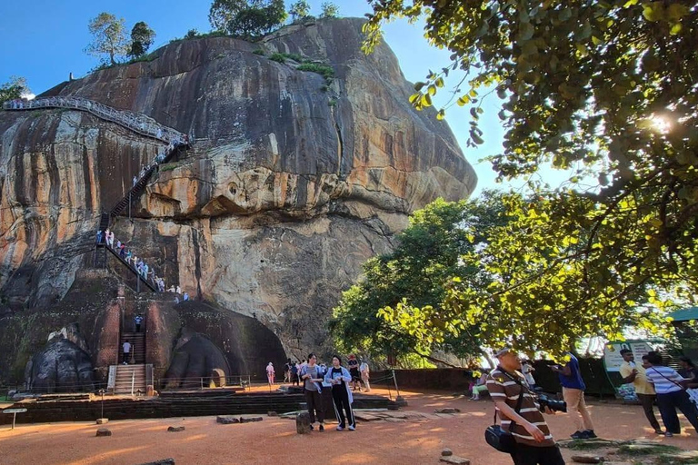 Pasikuda: Sigiriya lion Rock, Village tour & Safari tour