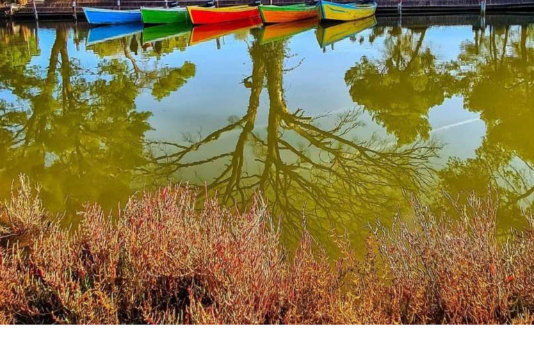 Desde Durres: Laguna de Karavasta y tour de la ciudad antigua de Apolonia