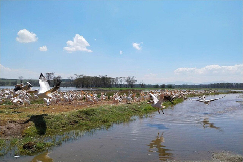 Nairobi:2 Day Hells Gate, Lake Naivasha & Lake Nakuru Safari