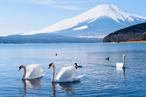 Tokyo: Mt. Fuji Tour, Hakone Ropeway, Owakudani, Lake Ashi Mt. Fuji Day Tour--Departure From Tokyo Station 8:00am
