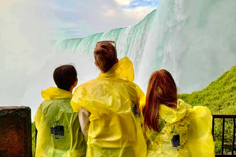 From Toronto: Winter Tour of Niagara Falls with AttractionsNiagara Falls Tour Without Attractions