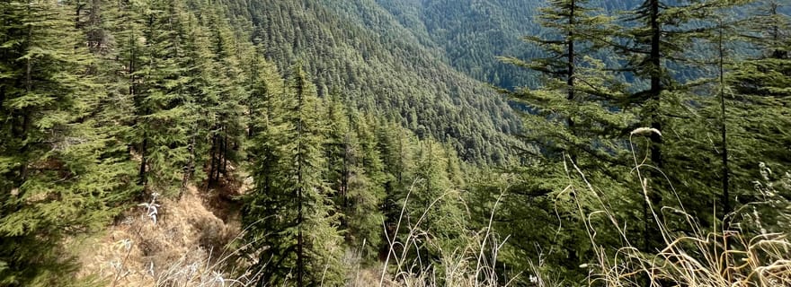 Shimla : Visite guidée de la réserve naturelle et du captage d'eau
