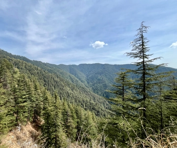 Shimla: Tour guidato del santuario della fauna selvatica e del bacino idrico
