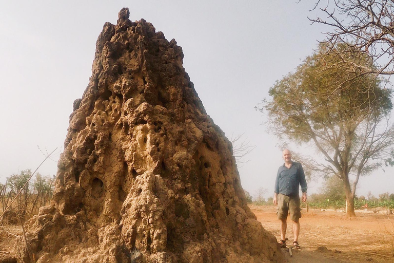 Dakar, Niokolo Koba, Kedougou i safari wodospadów: 4 dni/3 noce