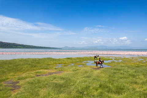 Lake Elemtaita: Elementaita Flamingoes & Birdwatching tour
