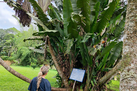 Ghana: Excursión a Accra, Parque Nacional de Mole y Costa del Cabo