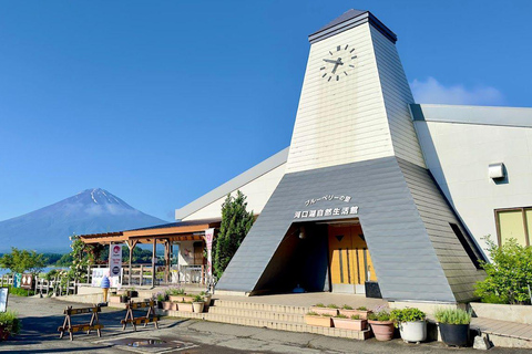 Tokyo: Full-day tour of the four Majestic spots of Mt Fuji