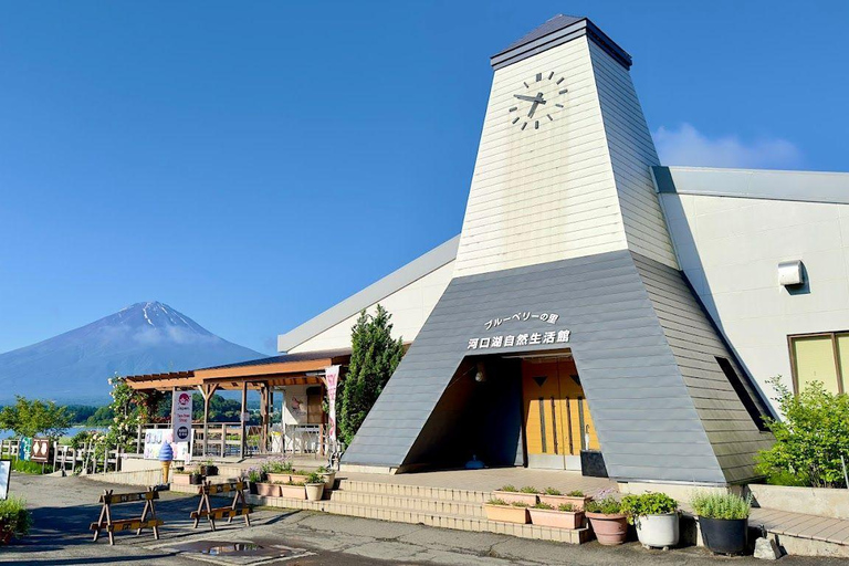 Tokyo: Tour di un giorno intero dei quattro punti maestosi del monte Fuji