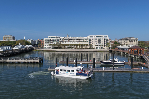 Charleston: Sunset Harbor Cruise with Wildlife Views