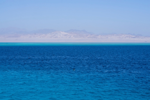 Sharm El Sheikh : Journée de navigation vers l'île Blanche et Ras MohamedExcursion en yacht à White Island et Ras Mohamed